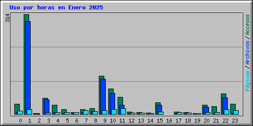 Uso por horas en Enero 2025