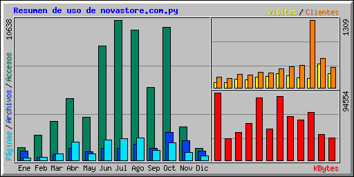 Resumen de uso de novastore.com.py